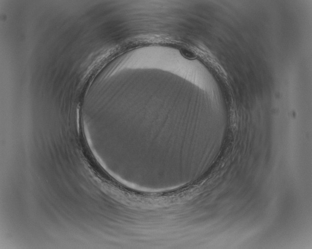 X0000066510014200604071538