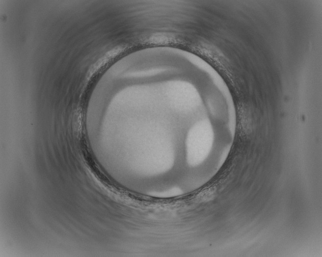 X0000066510016200604071538