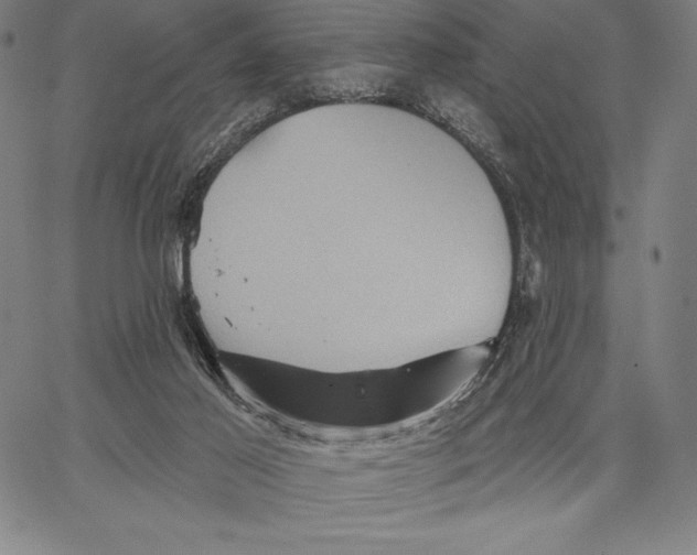 X0000066510021200604071538