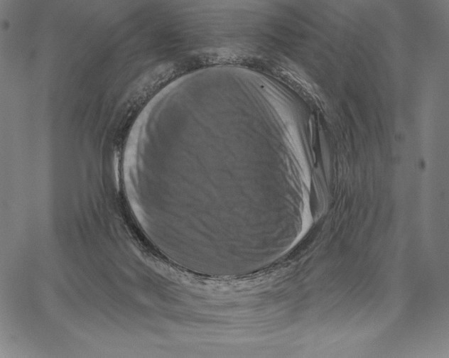 X0000066510022200604071538