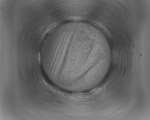 X0000066510024200604071538