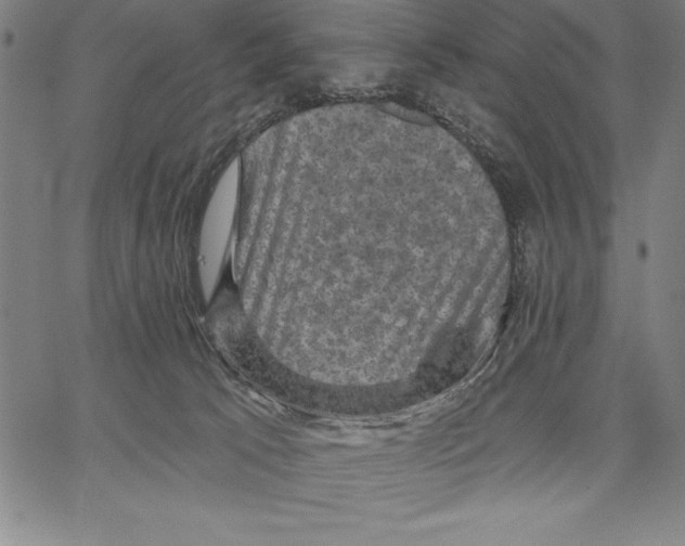 X0000066510033200604071538