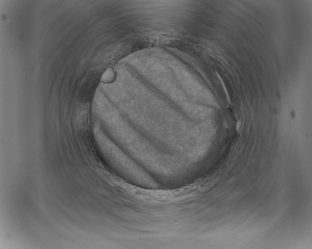 X0000066510034200604071538