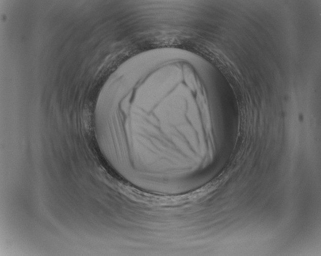 X0000066510035200604071538