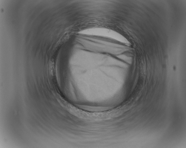 X0000066510038200604071538