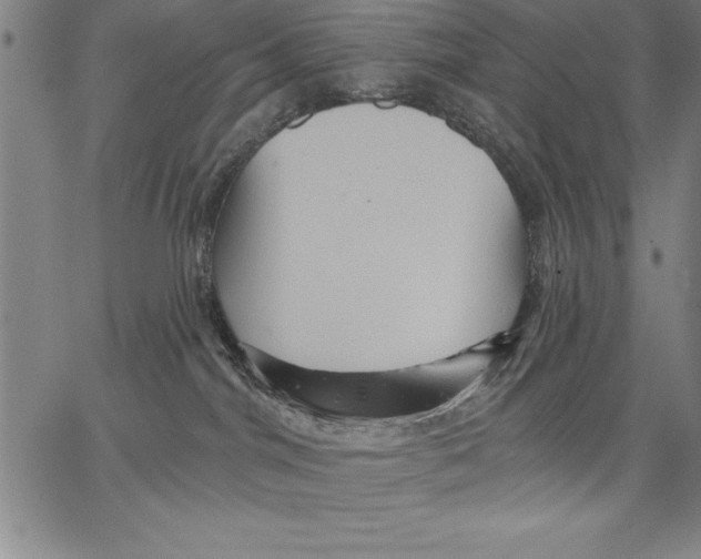 X0000066510044200604071538