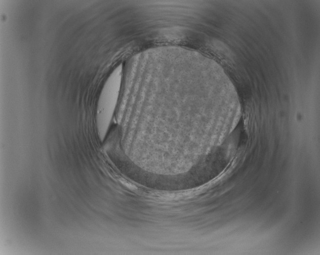 X0000066510045200604071538