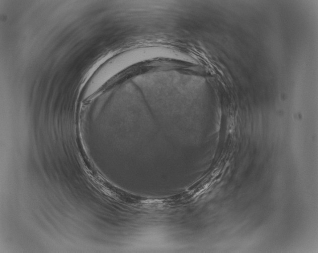 X0000066510052200604071537