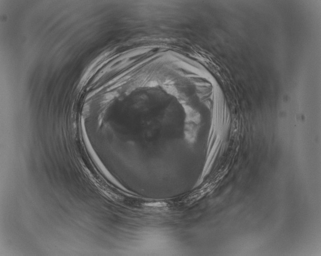 X0000066510053200604071537