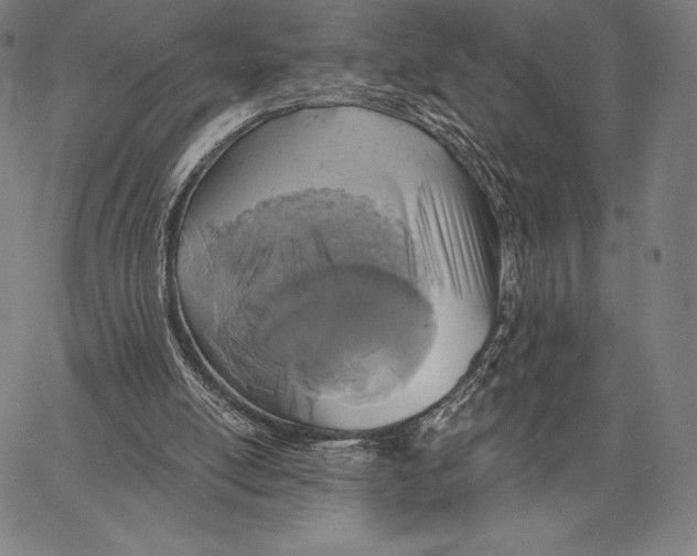X0000066510054200604071537