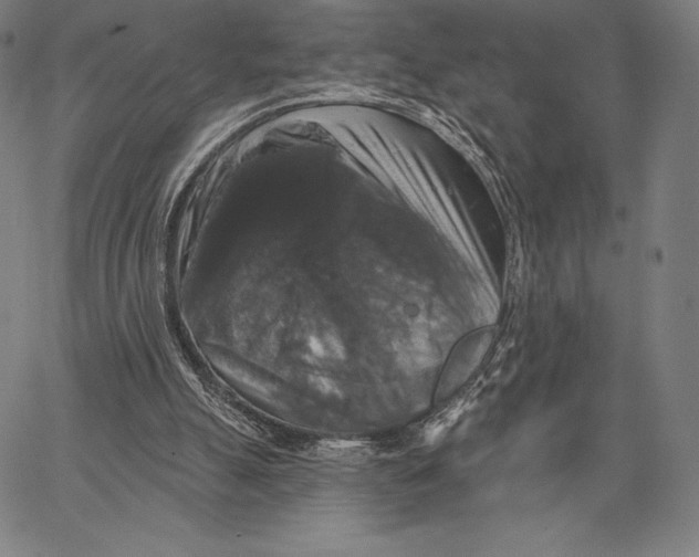 X0000066510055200604071537