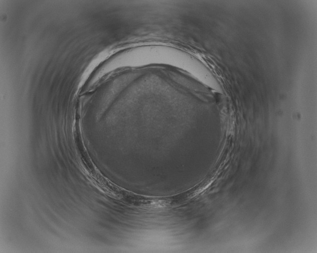 X0000066510056200604071537