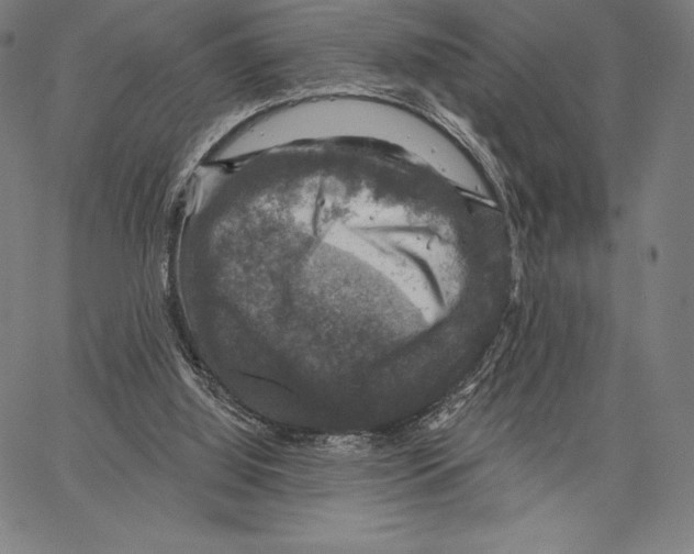 X0000066510060200604071537