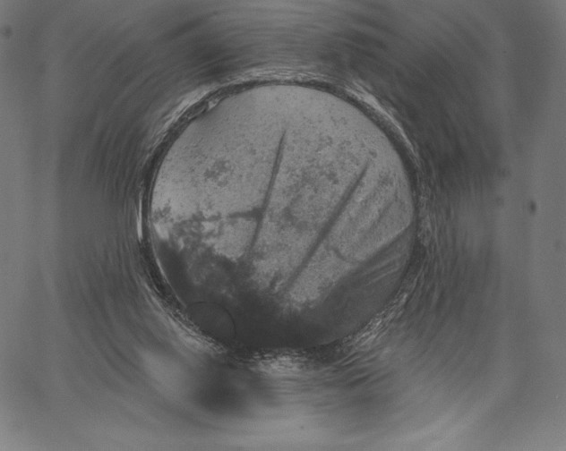 X0000066510062200604071537
