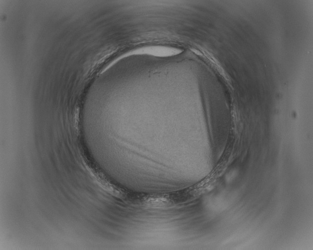 X0000066510066200604071537