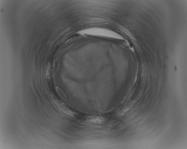 X0000066510073200604071537
