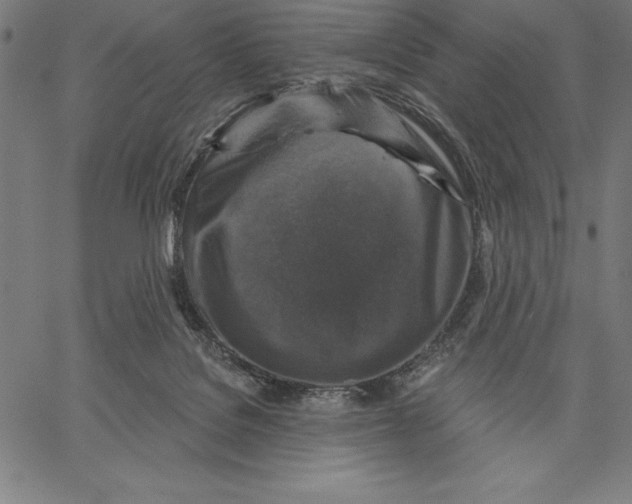 X0000066510076200604071537