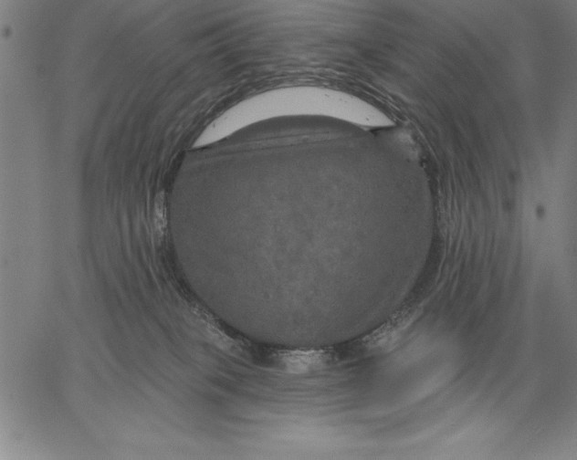 X0000066510085200604071538