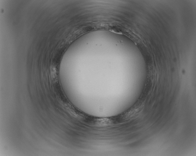 X0000066510087200604071538