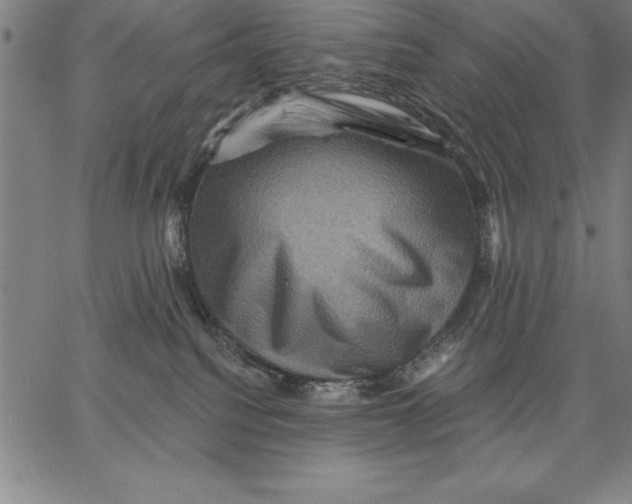 X0000066510088200604071538
