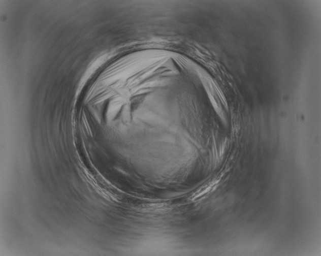 X0000066510102200604071537