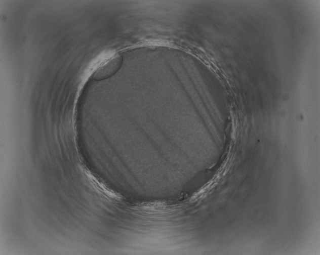 X0000066510104200604071537