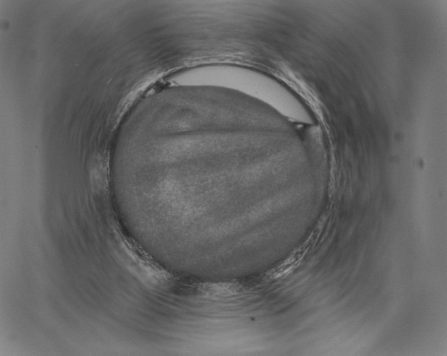 X0000066510107200604071537