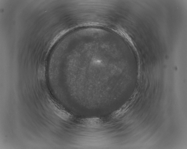X0000066510108200604071537