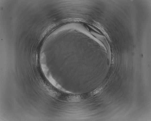 X0000066510110200604071537