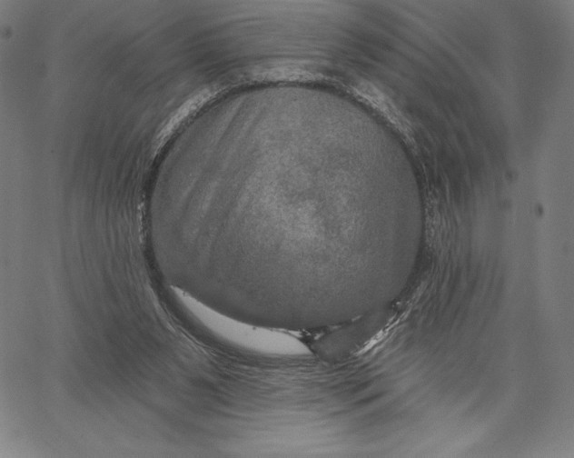 X0000066510111200604071537