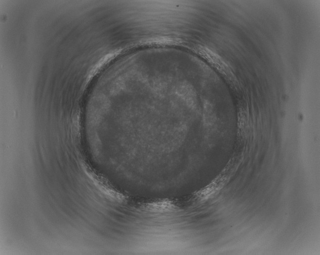X0000066510112200604071537