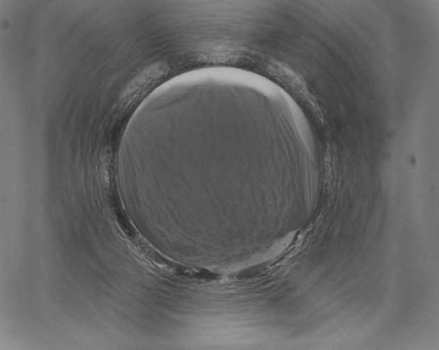 X0000066510114200604071537