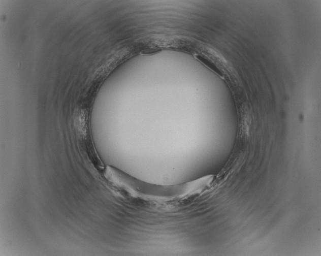 X0000066510121200604071537