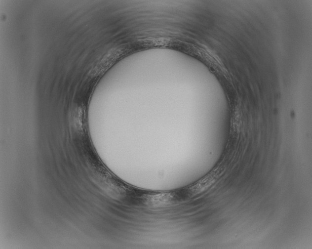 X0000066510122200604071537