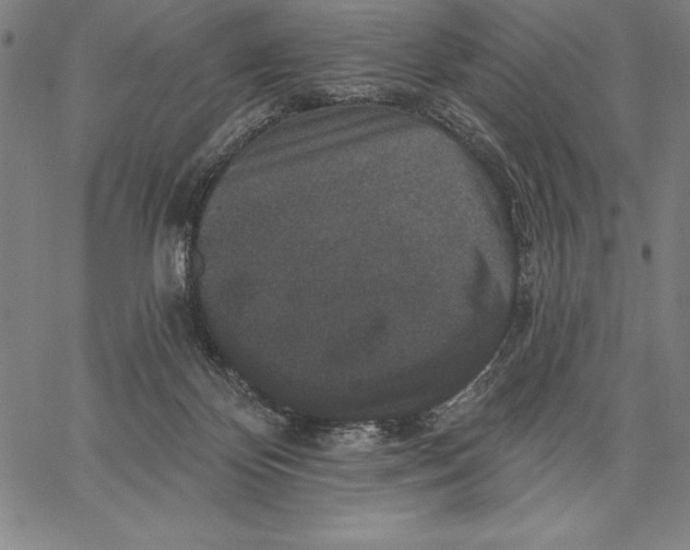 X0000066510124200604071536