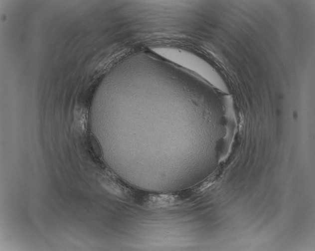 X0000066510125200604071536