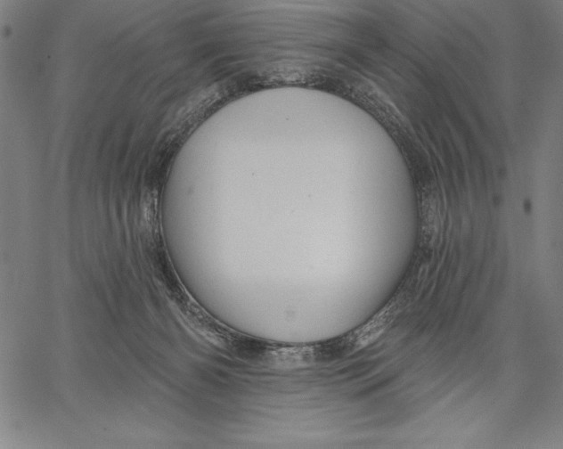 X0000066510126200604071536