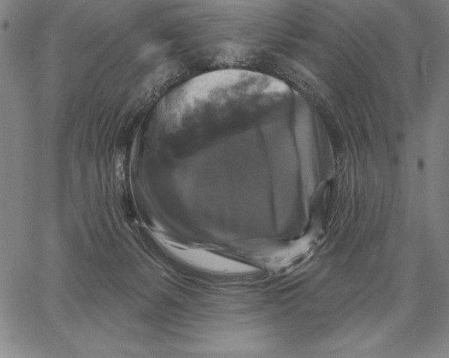 X0000066510127200604071536