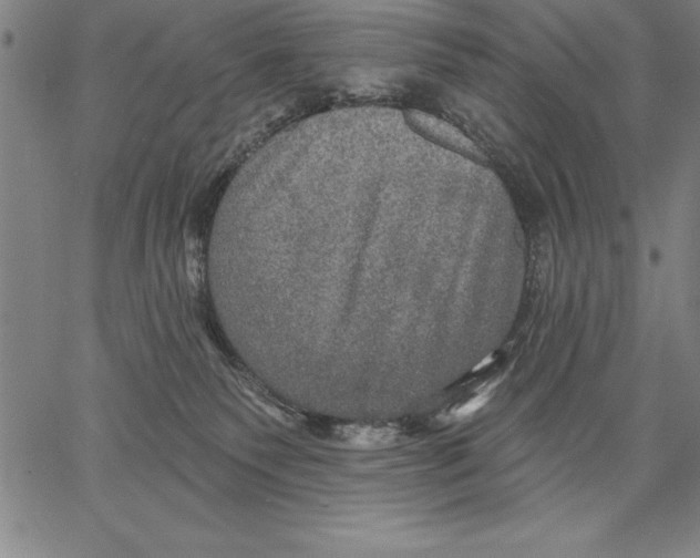 X0000066510135200604071536