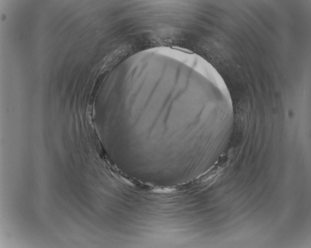 X0000066510139200604071536