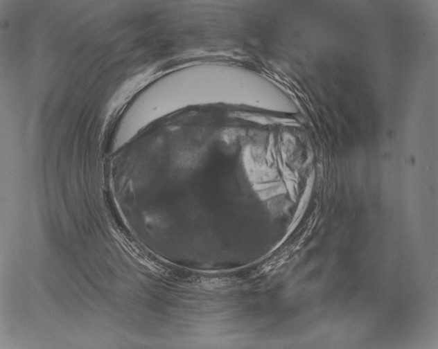 X0000066510149200604071535