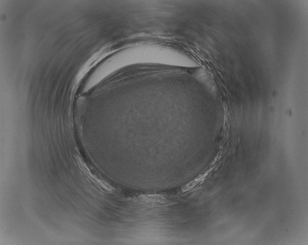 X0000066510150200604071535