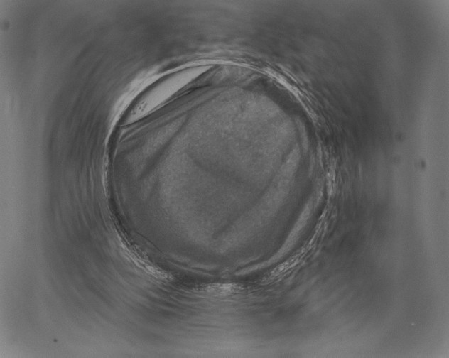 X0000066510152200604071536