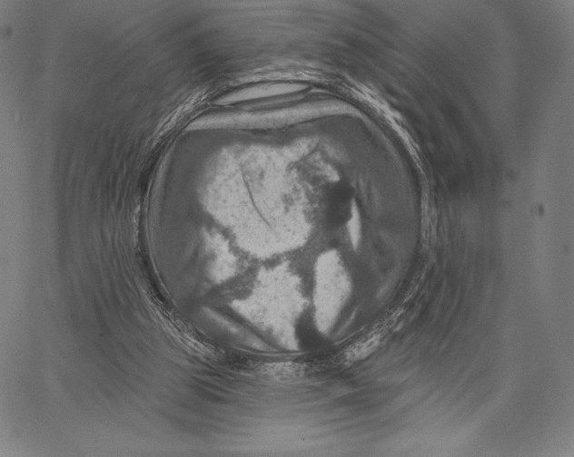 X0000066510153200604071536