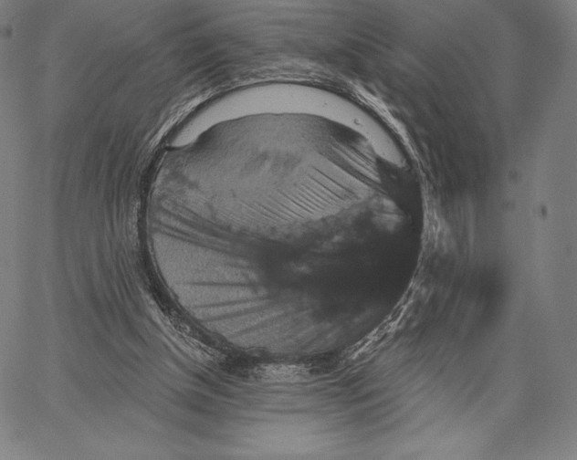 X0000066510154200604071536