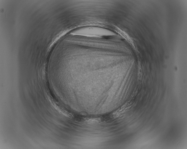 X0000066510155200604071536