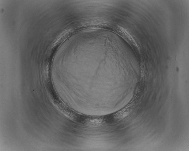 X0000066510163200604071536