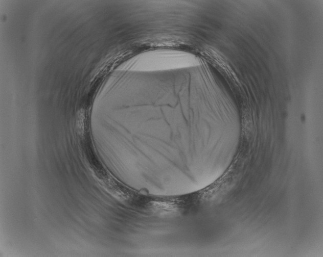 X0000066510167200604071536