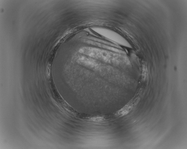 X0000066510168200604071536