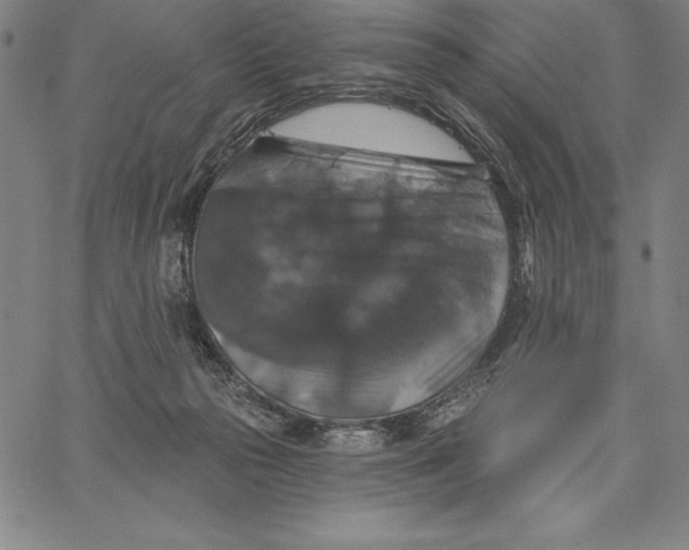 X0000066510169200604071536